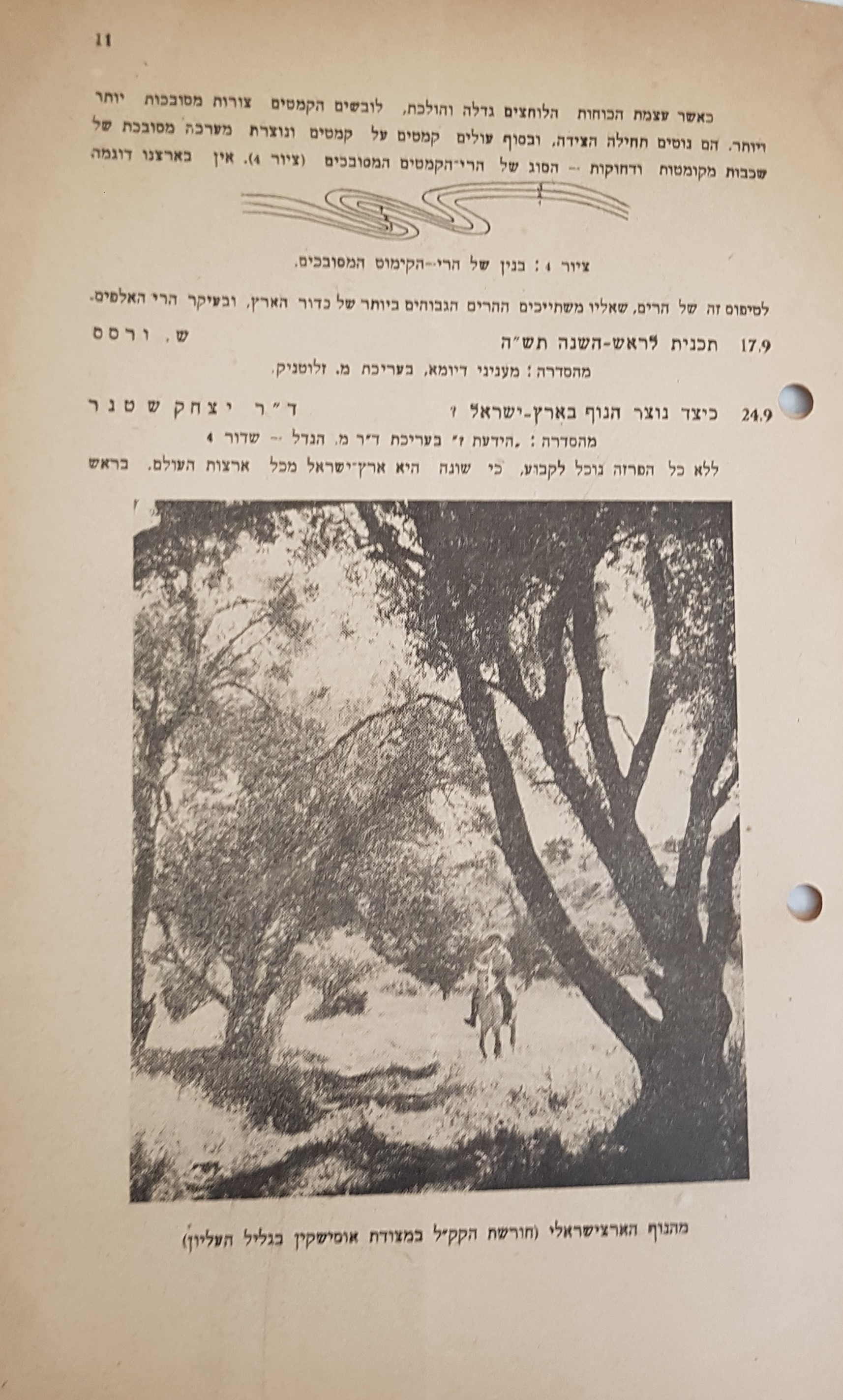   Photo: page11