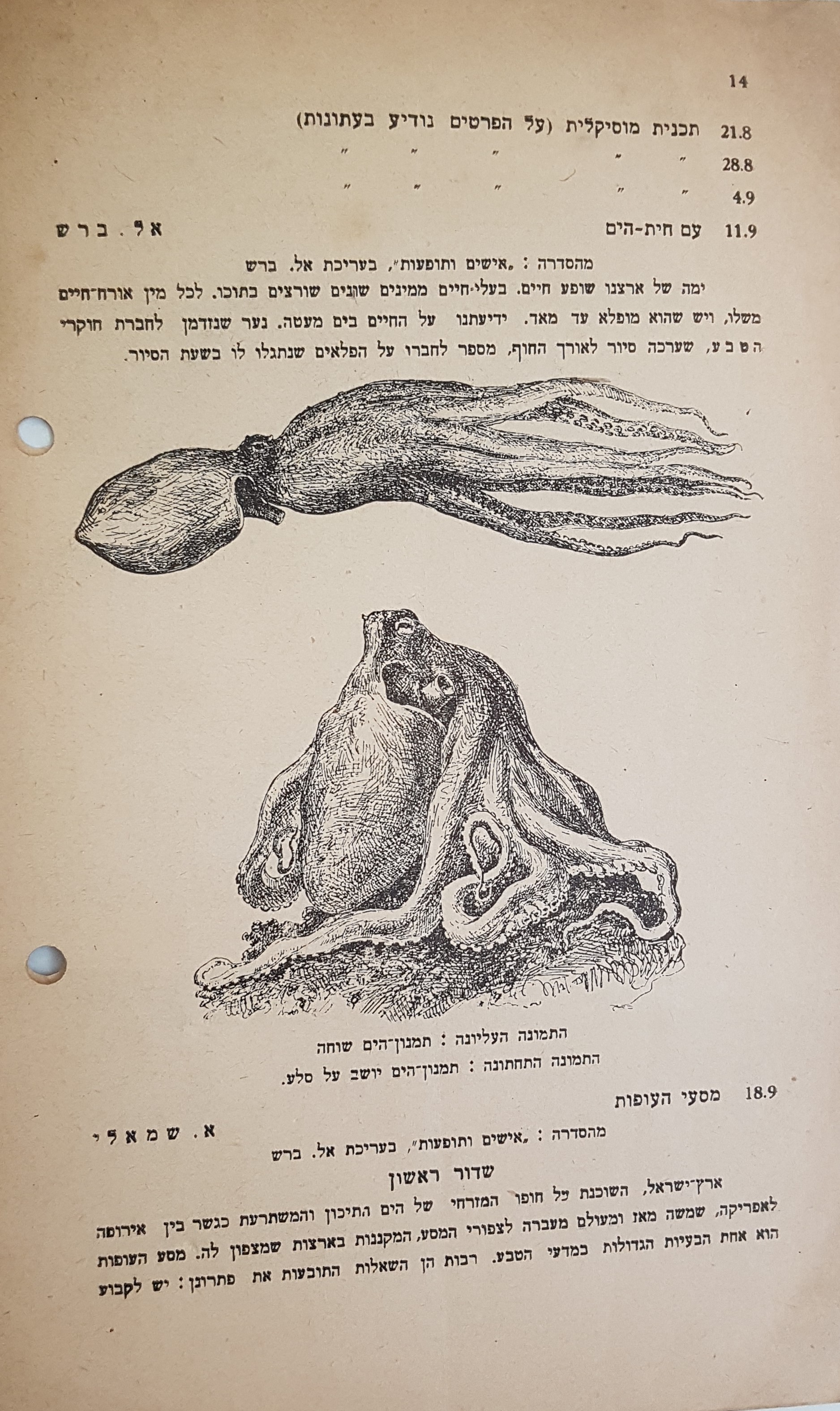   Photo: page 14